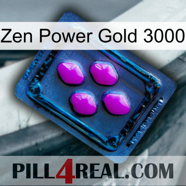Zen Power Gold 3000 04
